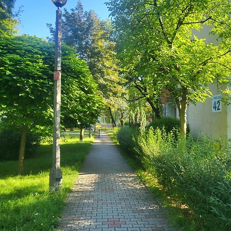 Апартаменты Przytulne Mieszkanie Wola Duchacka Краков Экстерьер фото